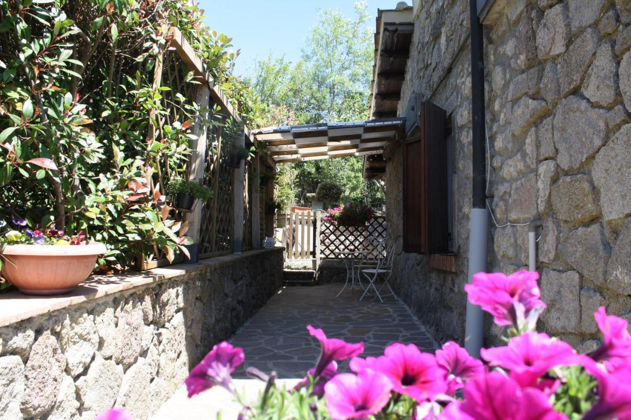 Agriturismo Biagiotti Abbadia San Salvator Luaran gambar