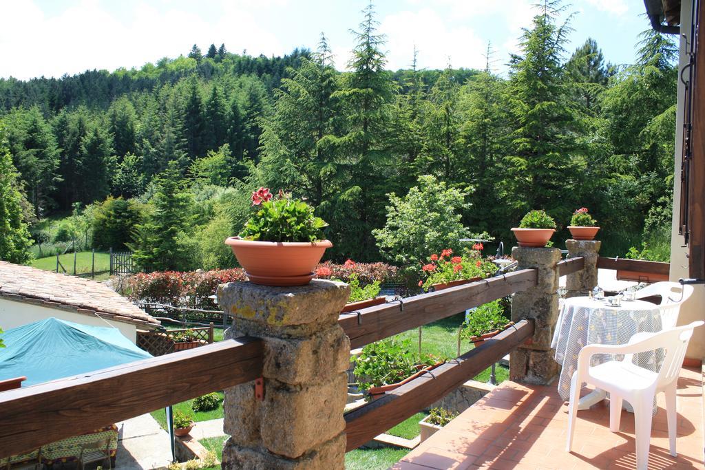 Agriturismo Biagiotti Abbadia San Salvator Luaran gambar